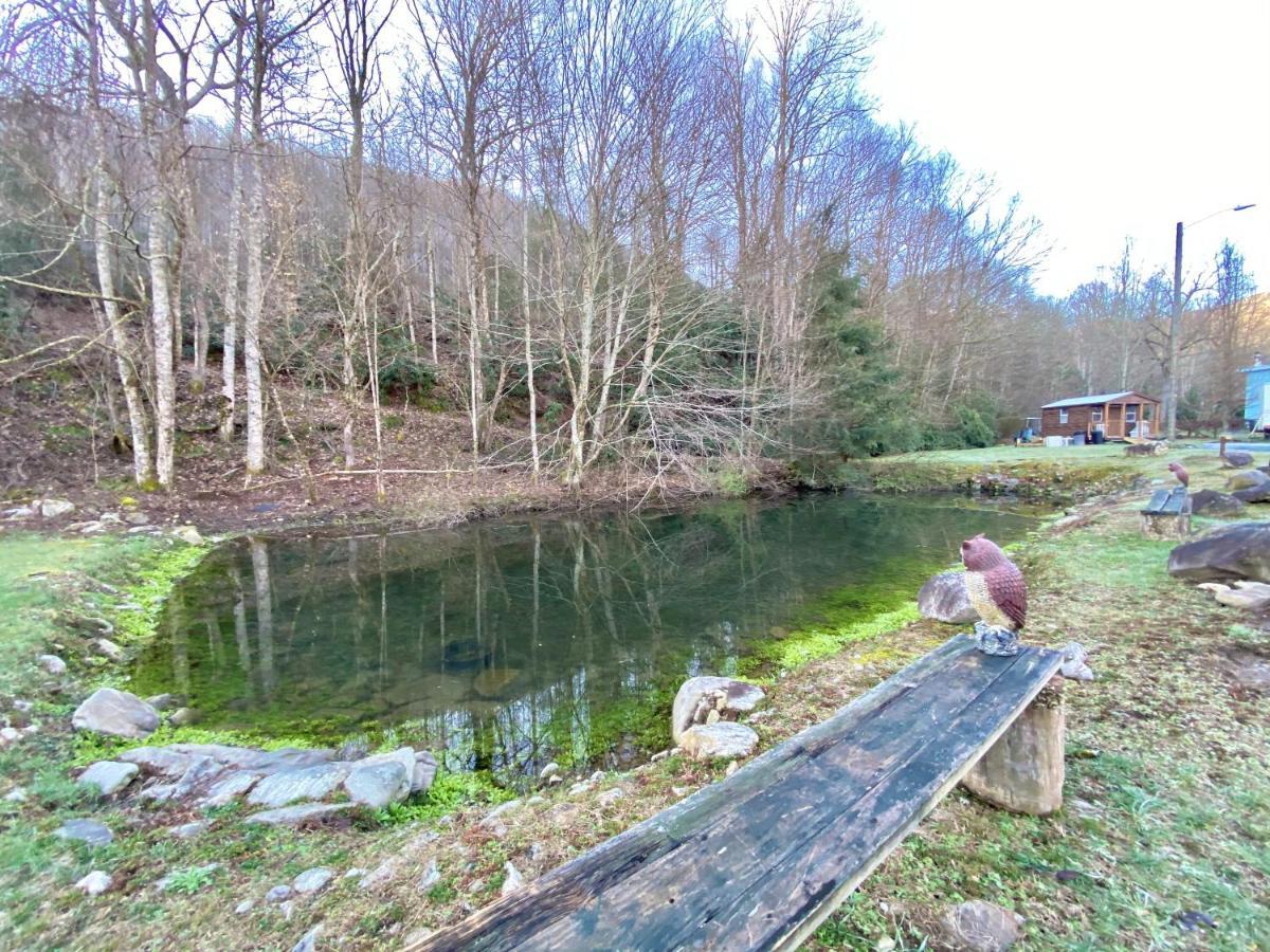 Maggie Valley Cabin Rentals 외부 사진